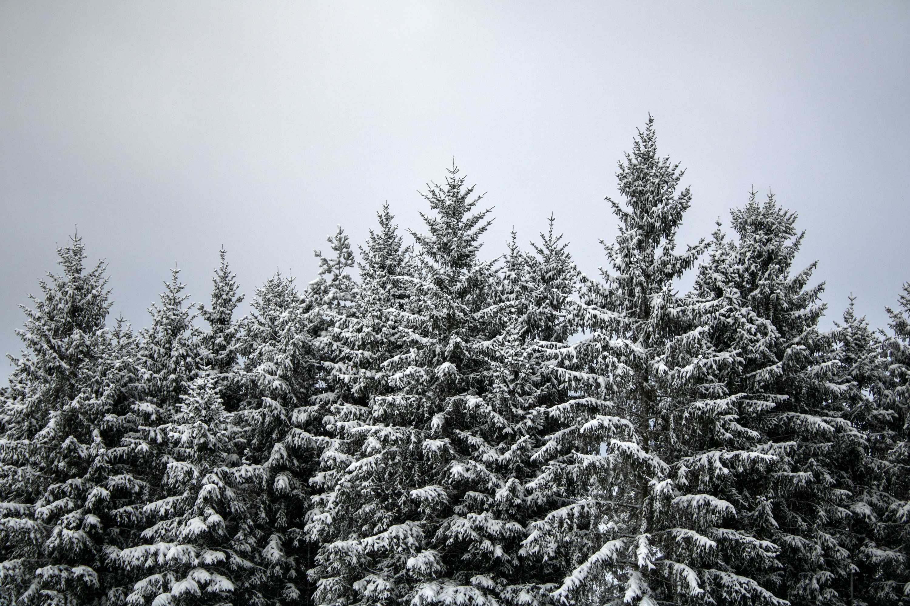 2022 Photo 8